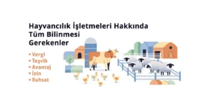 Türkiye'de Hayvancılık İşletmesi Kurmak: Fırsatlar ve Yatırım Alanları Hayvancılık İşletmeleri Hakkında Tüm Bilinmesi Gerekenler