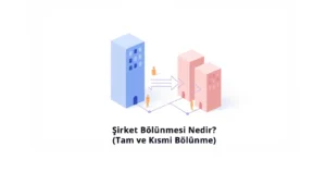 Şirket Bölünmesi Nedir Tam ve Kısmi Bölünme
