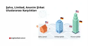 Şahıs Limited Anonim Şirket Uluslararası Karşılıkları
